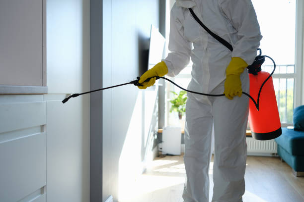 Best Mold Cleaning Services  in Reeds Spring, MO