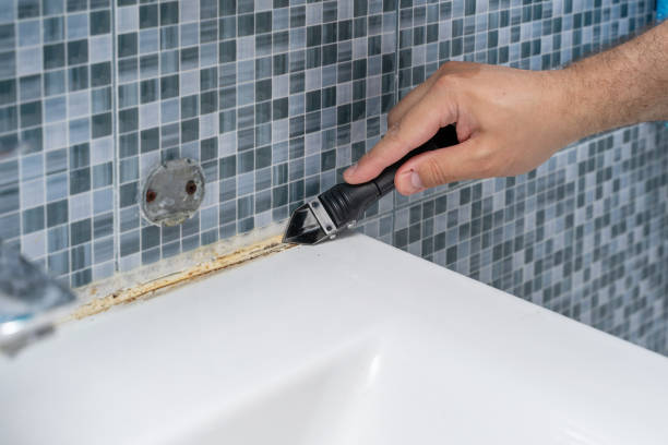 Best Mold Damage Repair  in Reeds Spring, MO