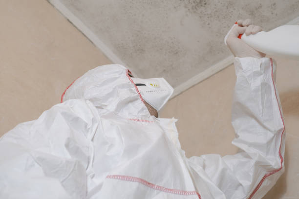 Mold Testing and Removal in Reeds Spring, MO